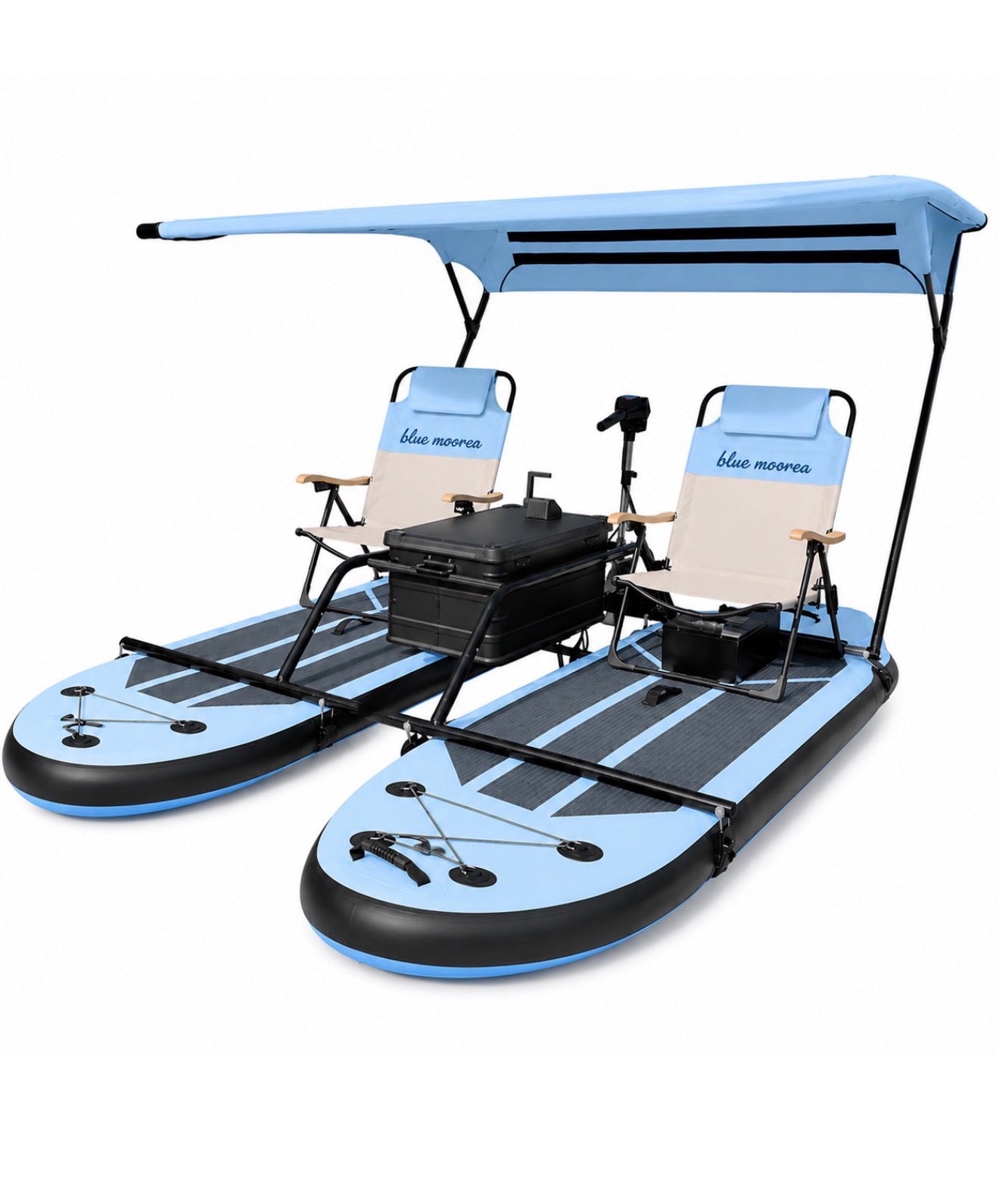 Catamaran électrique Image
